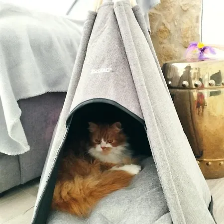 Silver Kwatera prywatna *