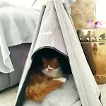 Silver 홈스테이 *