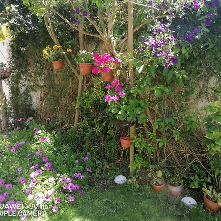 Séjour chez l'habitant Silver Nazaré