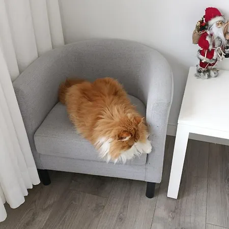 Silver Séjour chez l'habitant