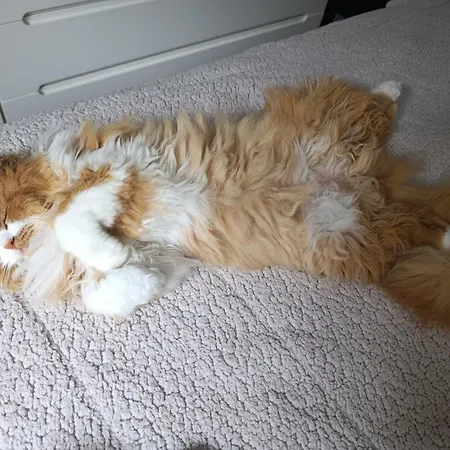 Séjour chez l'habitant Silver