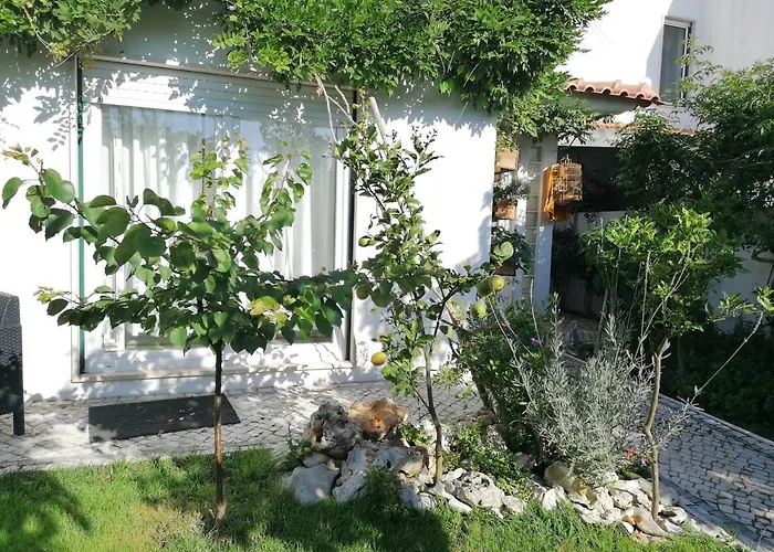 Silver Séjour chez l'habitant Nazaré