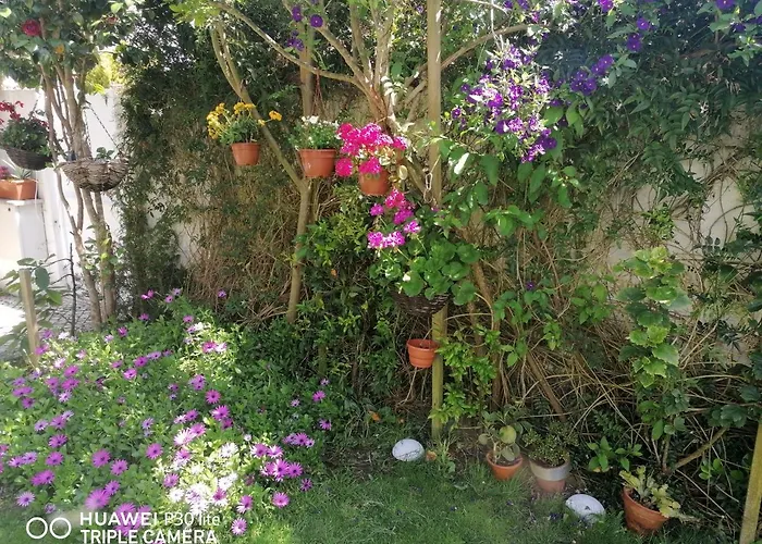 Séjour chez l'habitant Silver Nazaré