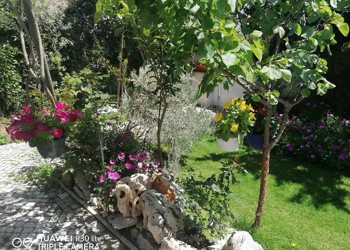 בית אירוח Silver *