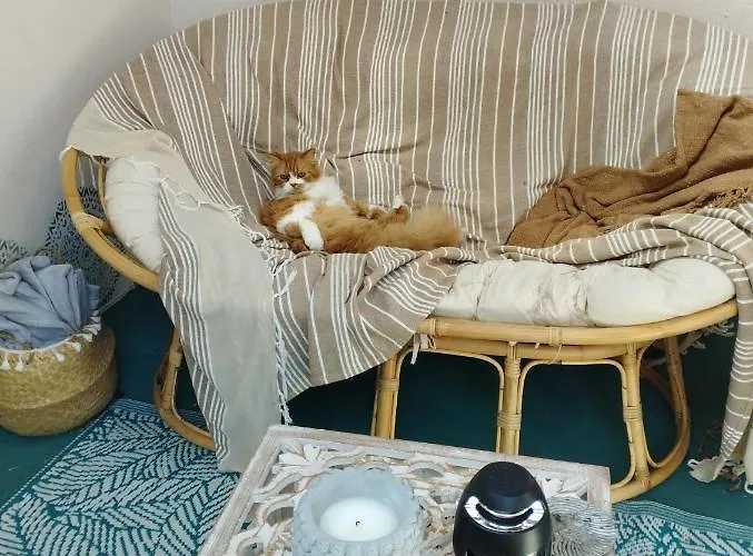 Séjour chez l'habitant Silver