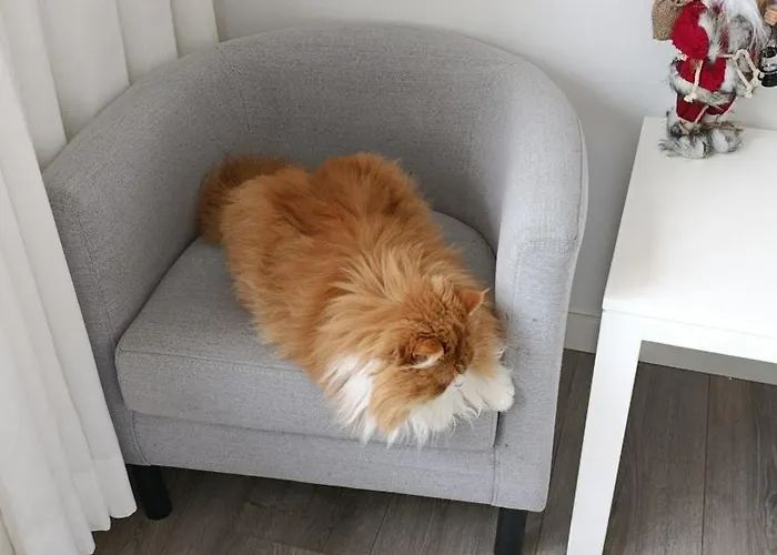 Silver Séjour chez l'habitant