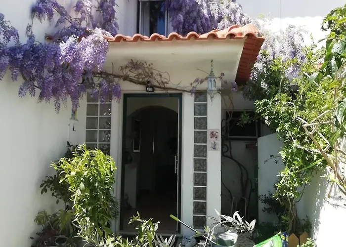 בית אירוח Silver